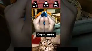 You're a Genius If You Know  💀 #shorts #cat #bombastic #usa #jelliclecats #facts #viral #funny #yt