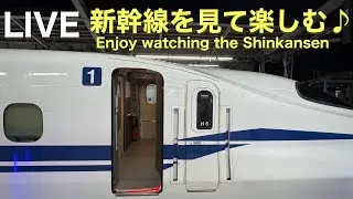 ライブ  「またまた新幹線？」【新大阪駅】