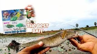 USA VIPER The Best Bait For Fishing 👍 #daiwa #abugarcia #fishing #shimano #gopro #casting #bkk
