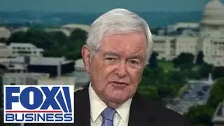 This country is sliding into a pro-Chinese, communist dictatorship: Newt Gingrich