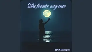 Du förstår mig inte