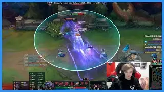 Nemesis Perspective vs Thebausffs
