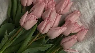 🌸Avatar Word 🎀 моё утро в аватар ворлд 