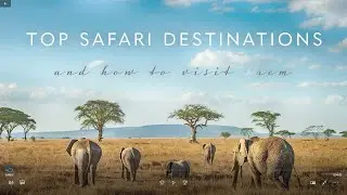 African Travel's Top Safari Destinations