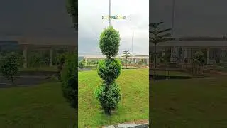 Hidden Gem of Jharkhand ✨ | CUJ Campus Vibes 🏞️ #collegevlog