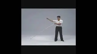Benny Meng Long Pole