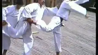 1990 DETVA PREMENY PRAMENOV