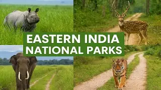 Eastern India National Parks