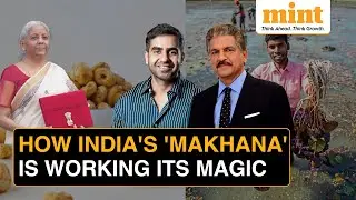 Makhana Gets Its Own Board: How It'll Help Bihar Capitalise On The Global Superfood Revolution