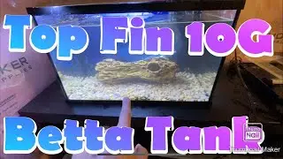TOP FIN 10G BETTA TANK | Male Betta Fish