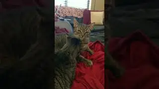 Marty Missed Syd!