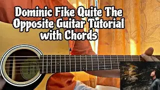 Quite The Opposite - Dominic Fike // Easy Guitar Tutorial with Chords (How to play)