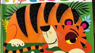 Never Touch A Tiger