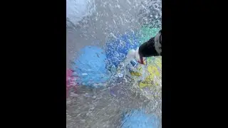 #怎么给肝减脂 #人吃鸡蛋有什么好处Balloon Popping ASMR Satisfying and Relaxing #balloon #poppingballon