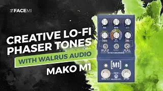 Walrus Audio MAKO M1| Creative Lo-Fi Phaser Tones | FACE MI Tone Teaser