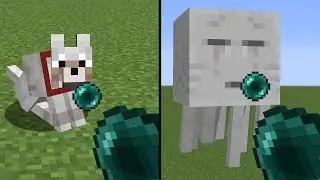 what's inside wolf ? what's inside ghast ?