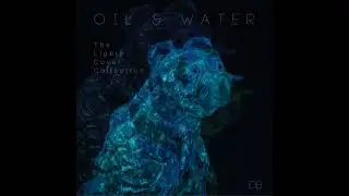 Dakota Banks - Oil and Water (Lights cover)
