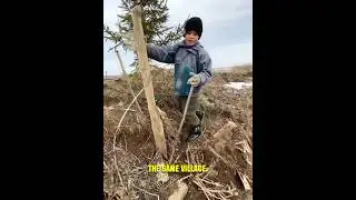 Nastolatek uwalnia wilki &ndash; ich reakcja jest niewiarygodna! 🐺❤️