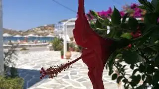 Mare Monte - Ios Chora - Greece