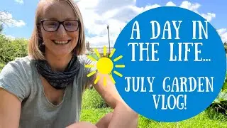 Garden Vlog: A day in the life in July on my UK no dig allotment!