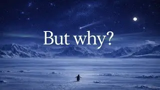 Penguin headed for the mountains explained! (under 1 minute)