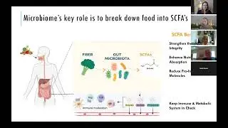 NeuroFiber Nutrition Bars - Gut Health Explained