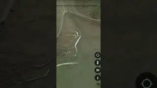 Giant White Cat Found On Google Earth #shorts #mapsecrets