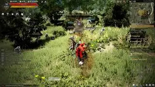 Quest Small Imps - Black Desert Online - Black Spirit Quest