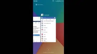 How to get Privacy Information settings manually on Facebook app