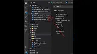 VSCode "Open Editors" panel not showing / How to remove Open Editors or  Activity log Bar in Vscode