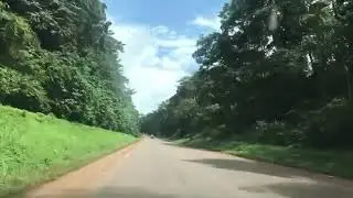 a drive through mabira forest Uganda.