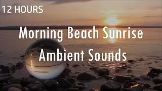 12 HOURS - Sea Waves Ambient Relaxing Music - Beautiful Morning Beach Sunrise | Meditation | Yoga