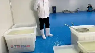 Water Chestnut Juicy Pearl boba processing line
