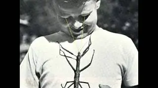 Melmac  - lainaa pampulaa