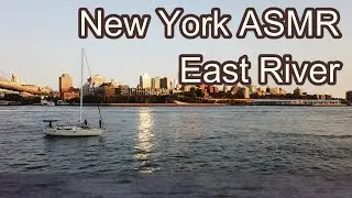 New York ASMR: East River & Brooklyn Bridge