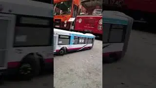 taking the bendy bus for a walk