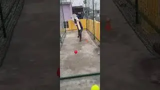 cricket practice best drill for drive
