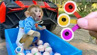 Little Monkey Baby Bu Bu and puppy eat Eyeballs vs rabbit harvest fruit in the garden