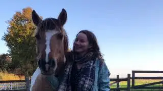 Freedom based groundwork with horses | 5 basic exercises