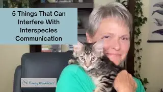 5 Things That Can Interfere with Clear Interspecies Communication