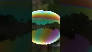What a Bubble Looks Like Right Before It Explodes 🌈