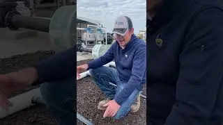 💧 Subsurface Drip Irrigation #farming #water