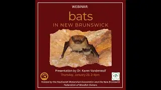Bats in New Brunswick (webinar recording Jan 23, 2025)