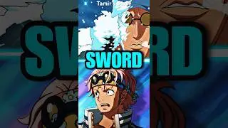 What Is The Organization Known As SWORD?!? #anime #onepiece #luffy #shorts