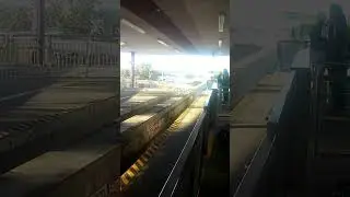EPCOT Monorail 🚝