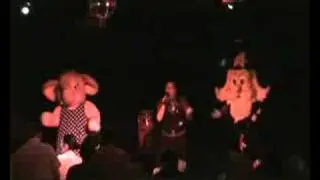Tiger Club Song 2008