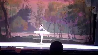 VID01310
