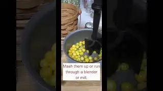 Let's Make Ground Cherry Jam