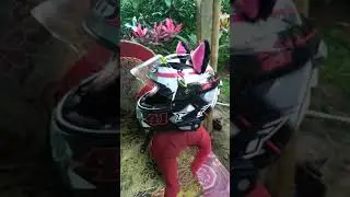 Review helm kyt falcon fr paket ganteng #shorts