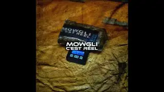 MOWGLI L&rsquo;ANIMAL - C&rsquo;EST REEL (Clip officiel)